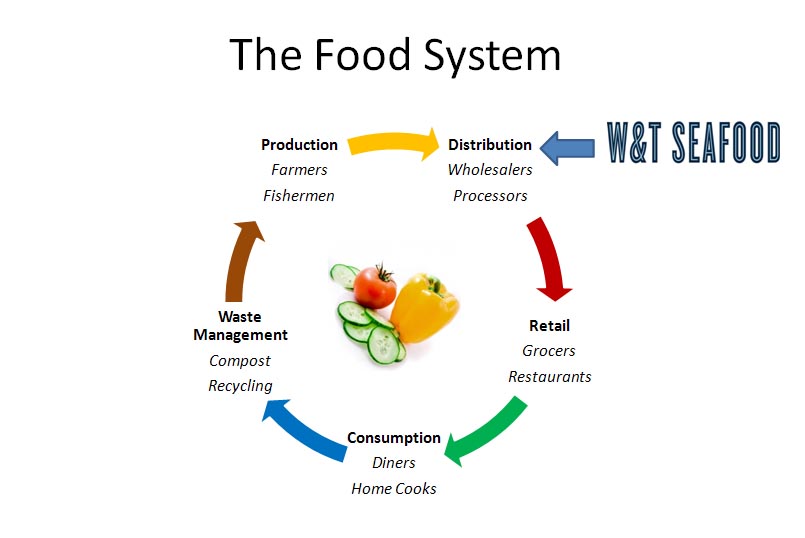 Food_System Element Seafood