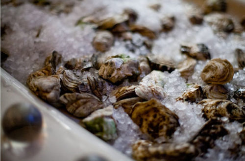 Mayfield Oysters