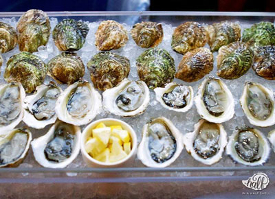 Brooklyn Oyster Riot