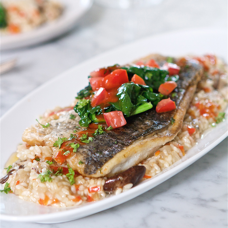 Barramundi Gebratenes Filet — Rezepte Suchen