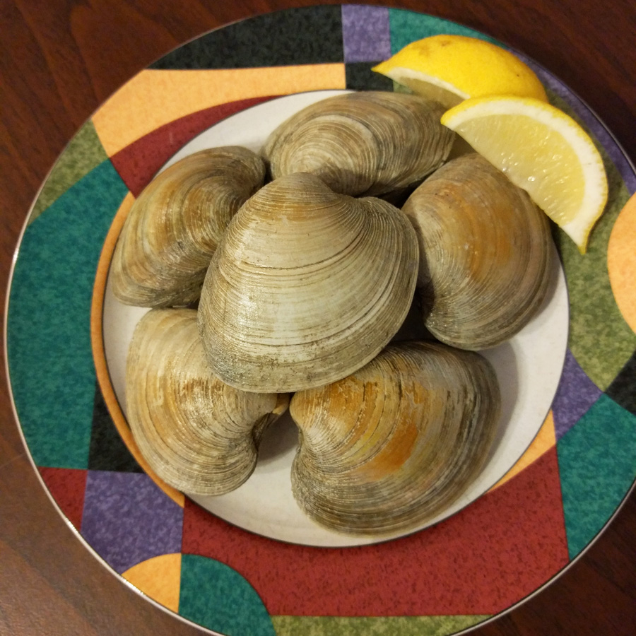 What are topneck clams?