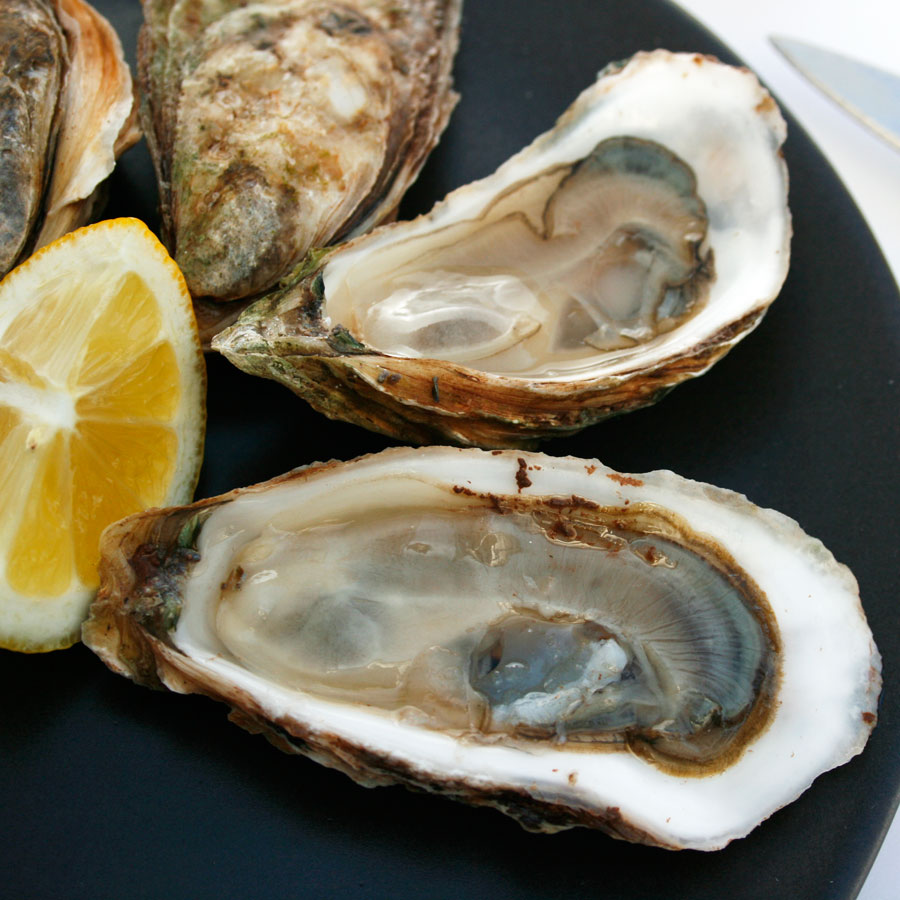 Malpeque Oysters (PEI) – Element Seafood