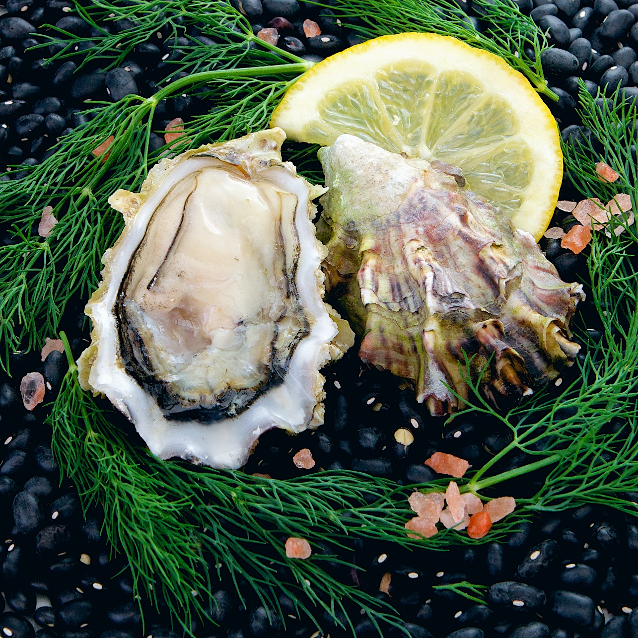 Gigacup Oysters (WA) Element Seafood