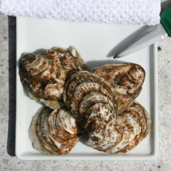 Peconic Gold Oysters